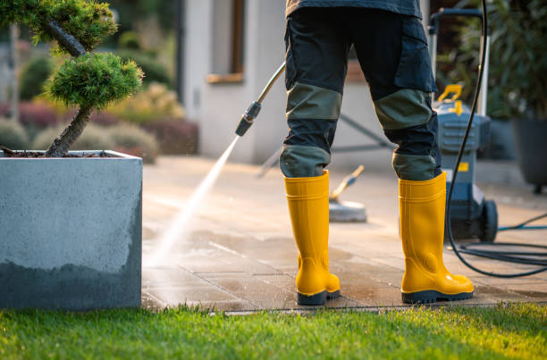 Best Affordable Pressure Washing  in Arlington, TN